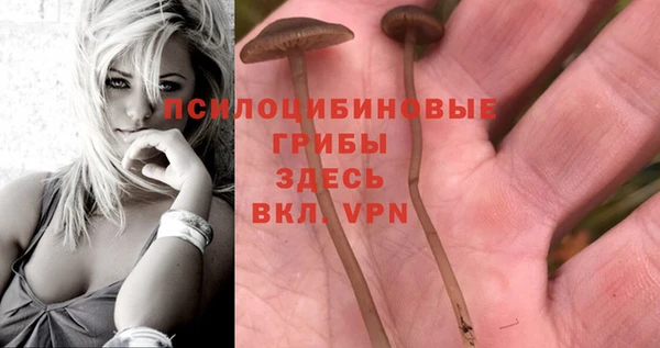 apvp Белоозёрский