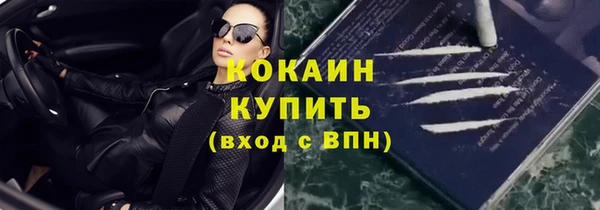 кокс Белокуриха
