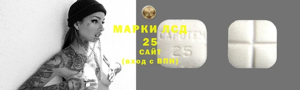 ECSTASY Беломорск