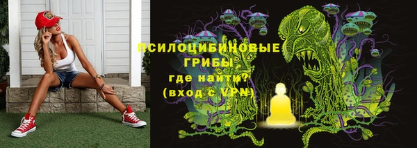 кокс Белокуриха