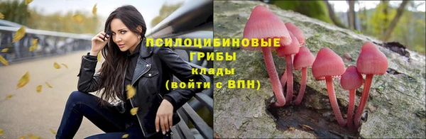 ECSTASY Беломорск