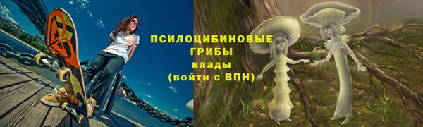 кокс Белокуриха